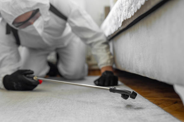 Professional Bed Bug Control technician working in Franklin County County, IA